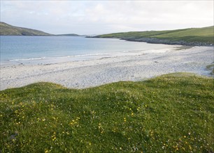 Machair grassland and sandy beach at Bagh a Deas, South Bay, Vatersay island, Barra, Outer