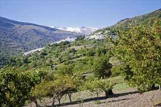 Village of Capileira in the River Rio Poqueira gorge valley, High Alpujarras, Sierra Nevada,