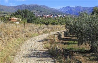 Ruta del Emperador, Route of the Emperor footpath, view to Aldeanueva de la Vera, Extremadura,