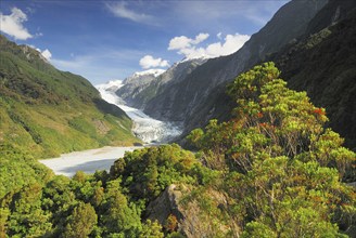 View from Sentinel Rock to Franz Josef Glacier, Westland National Park, South West New Zealand