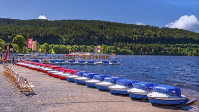 Landscape, nature, lake, Titisee, boats, boat hire, Black Forest, Germany, Europe