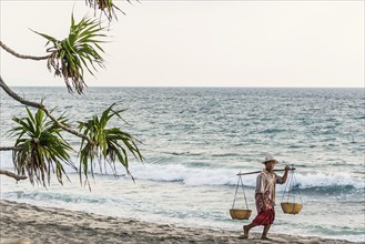 Merchant at Mangsit beach in Sengiggi, seller, man, palm beach, travel, tourism, sea, beach, water,