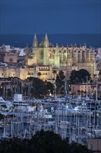 Panorama of Palma de Majorca, Bay of Palma, with the marina and the Cathedral of St Mary, Balearic