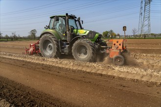 A farmer builds asparagus ridges on a field with the help of an asparagus tiller, in which the