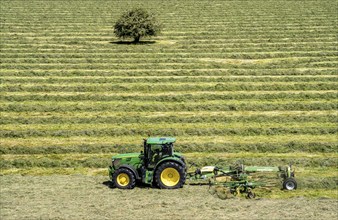 Hay harvest, in a meadow near Duisburg-Baerl, tractor with roundabout tedder, a hay tedder that