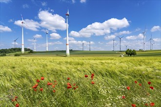 Wind farm near Brilon-Radlinghausen, Sauerland, North Rhine-Westphalia, Germany, Europe