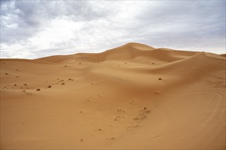 Dunes in the desert, Erg Chebbi, Sahara, Merzouga, Morocco, Africa