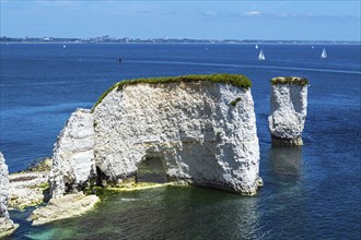 White Cliffs of Old Harry Rocks Jurassic Coast, Dorset Coast, Poole, England, United Kingdom,