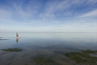 Woman with child walking through the mudflats, Wyk, Föhr, North Frisia, Schleswig-Holstein,