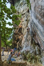 Rock climber at Phra Nang beach near Krabi, climber, outdoor, active holiday, climbing, rocks,