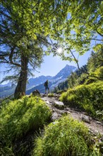 Hiker on hiking trail with sun star, hiking trail La Jonction, behind summit of Aiguille du Midi,