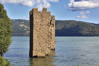 Wallachia, two towers in the Danube near Sivinita, Iron Gate nature park Park, Danube landscape,