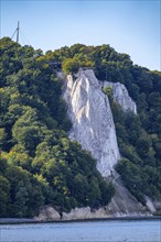 Chalk cliffs of Rügen, viewing platform at the famous rock formation Königsstuhl, in the Jasmund