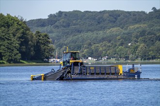 Mowing boat Nimmersatt, of the Ruhrverband, tries to keep the green plant carpet on the Lake