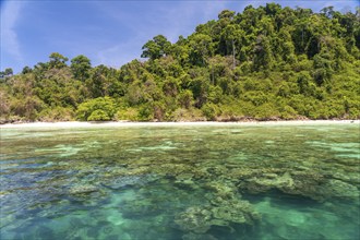 Coral reef on the dream beach of Ao-niang on the island of Koh Kradan in the Andaman Sea, voted the