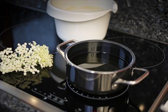 Swabian cuisine, preparation of elderberry cakes, heating fat in a saucepan, ceramic hob, cooker,