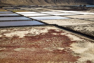 Traditional sea salt production, Salinas de Janubio, Lanzarote, Canary Islands, Spain, Europe