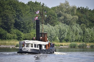 Steam tug Woltman sailing in the Kiel Canal, Schleswig-Holstein, Germany, Europe