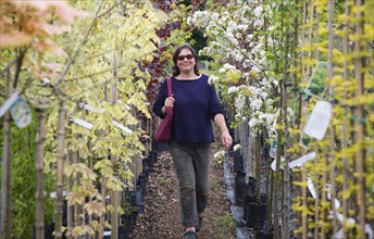 Model released woman walking past rows of colourful trees in blossom at a garden centre, UK