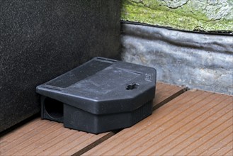 Poisoned plastic box for pest control, mouse bait station filled with rodenticide, poisonous paste