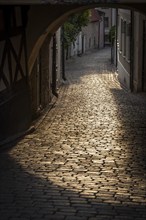 Cobblestones in the evening light, houses, old town, Hanseatic city Visby, island Gotland, Sweden,