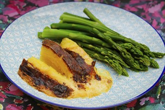 South German cuisine, green asparagus with potato gratin, plate, vegetables, healthy, savoury, food