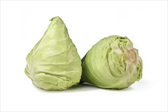 Two pointed cabbages on white background