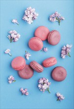 Purple and pink macaron or macaroon cakes with lilac flowers on pastel blue background. Morninig,