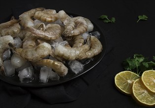 Frozen raw shrimp vannamey, on wooden skewers, ice cubes and lime slices, top view, no people