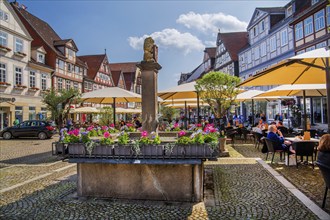 Fountain on the Großer Plan in the old town centre with typical half-timbered houses, Celle,