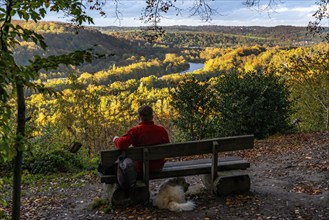 Autumnal forest along the Ruhr Valley between Essen-Kettwig and Essen-Werden, viewpoint in the