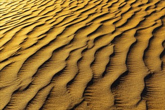 Sand structure formed by the wind, in the Rub al Khali desert, Dhofar province, Arabian Peninsula,