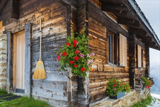 Lovingly decorated mountain hut, wooden hut, alpine hut, picturesque, flowers, broom, tourism,