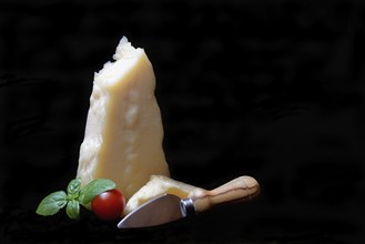 A piece of Parmesan cheese with cheese knife, basil and tomato, Italy, Europe