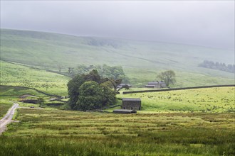 Farms in Yorkshire Dales National Park, North Yorkshire, England, United Kingdom, Europe