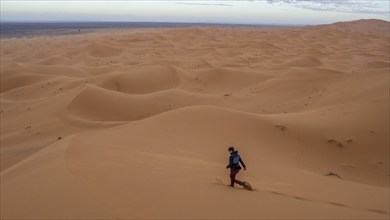 Woman walking over dunes, Erg Chebbi, Sahara, Merzouga, Morocco, Africa