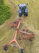 Aerial view of a blue tractor with hay machine on a field with cut grass, Dachtel. Black Forest,