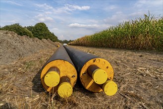 Laying of district heating pipes, next to a field, with maize, the district heating comes from a