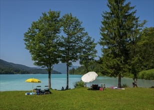 Bathing area with parasols on the shore of Lake Walchensee, Bavaria, Germany, Europe