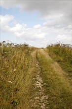 Uphill section of the ancient Ridgeway pathway crossing chalk downland near Liddington Castle,