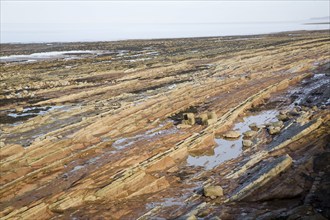 Rocky wave cut platform exposed at low tide, Watchet, Somerset, England, United Kingdom, Europe