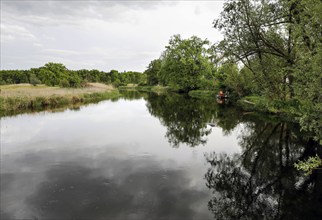 Unregulated natural course of the Spree, Mönchwinkel, 16 05 2023