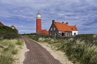 Lighthouse Eierland with houses, De Cocksdorp, Texel, West Frisian Islands, province North Holland,