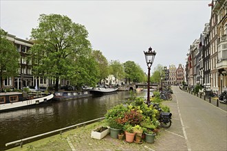 Historic houses on the Brouwersgracht, Amsterdam, Province of North Holland, Netherlands