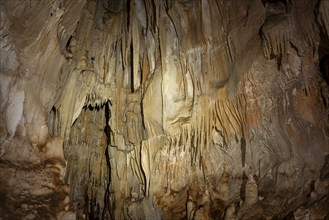 Stalactites in a stalactite cave, Terciopelo Cave, Barra Honda National Park, Costa Rica, Central