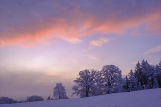 Sunrise with hoarfrost in winter, at the Schlossberg, Eurasburg, Loisachtal, Upper Bavaria,