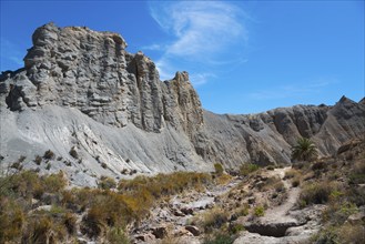 Barren desert landscape with rugged rocks, flowering vegetation and a bright blue sky, Oasis de