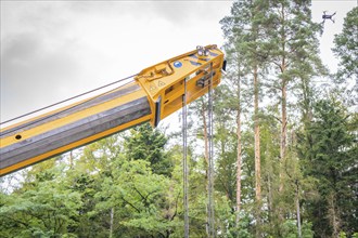 Yellow crane arm with ropes and a flying drone in front of tall trees in the forest, track