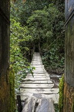 Suspension bridge along the Cocora Valley hiking trail, Cocora Valley, Salento, Quindio, Colombia,