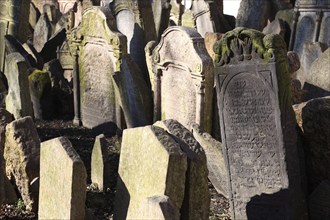 The Old Jewish Cemetery in the Josefov district is one of the most historically significant Jewish